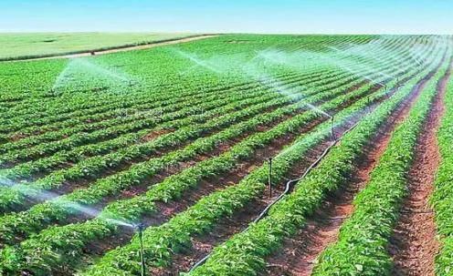 国产操逼片儿农田高 效节水灌溉